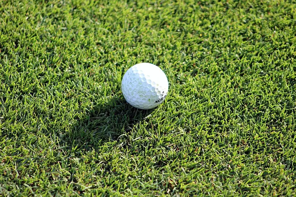 KVAC 2025 All-Conference and All-Academic Golf Teams